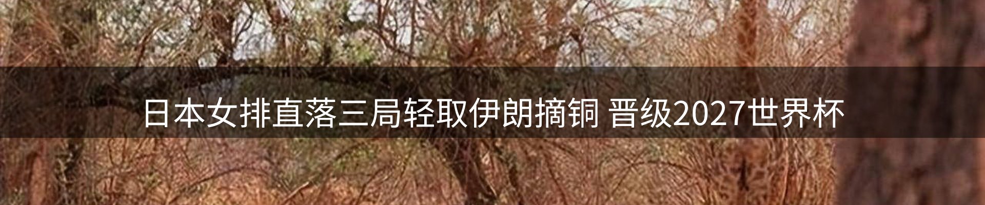 新闻速览